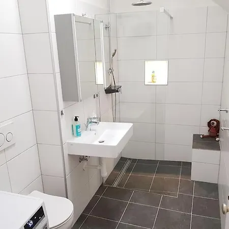 Komfortable Mit Garten Im Zentrum Von Daire Graz