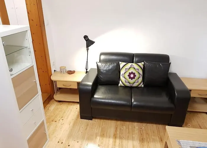 Komfortable Mit Garten Im Zentrum Von Apartamento Graz